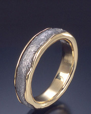 Meteorite & 18k Yellow gold rolled edge ring