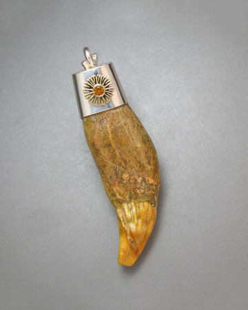 14kt. yellow gold fossilized bear tooth necklace